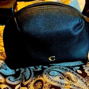 Coach large cosmetic bag